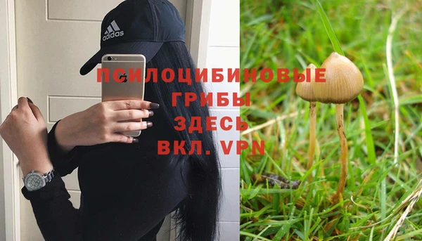 герыч Алзамай