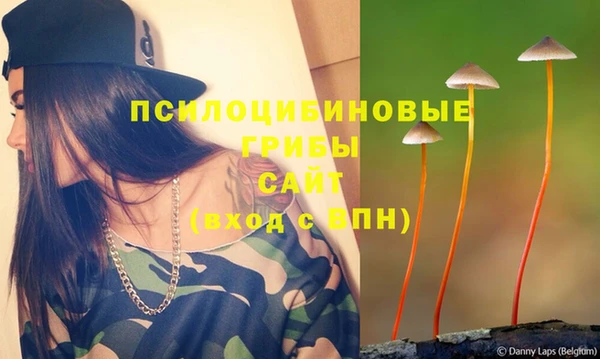 ALPHA PVP Алексин